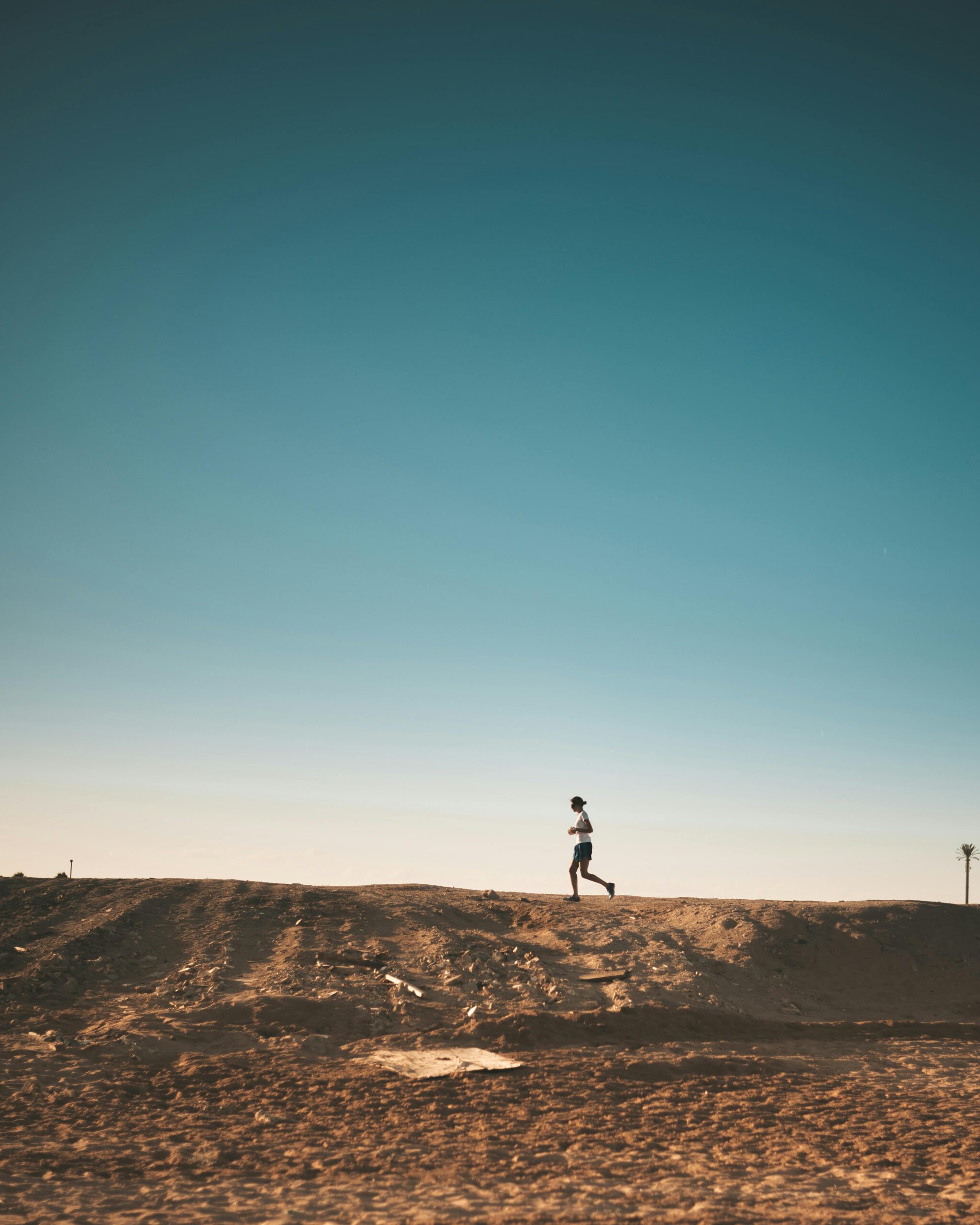 How Endurance Training Cultivates the Core Stoic Virtues